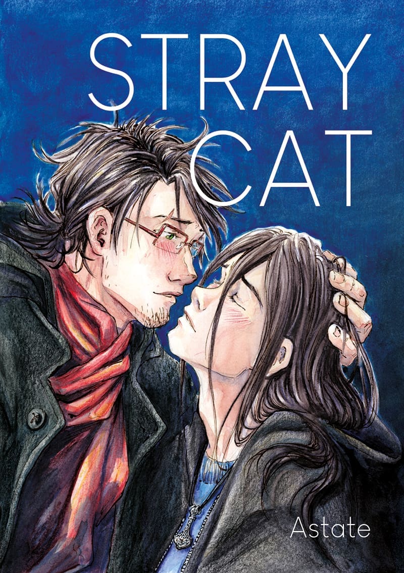 Couverture de Stray cat, un lightnovel yaoi à précommander sur Ulule