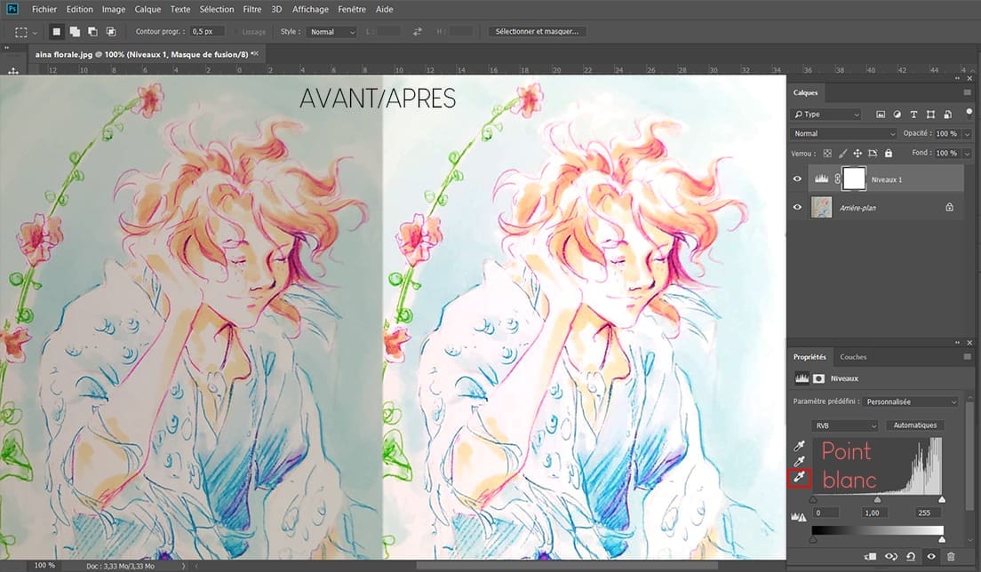 Point blanc sur photoshop, un outil pour retoucher les niveaux