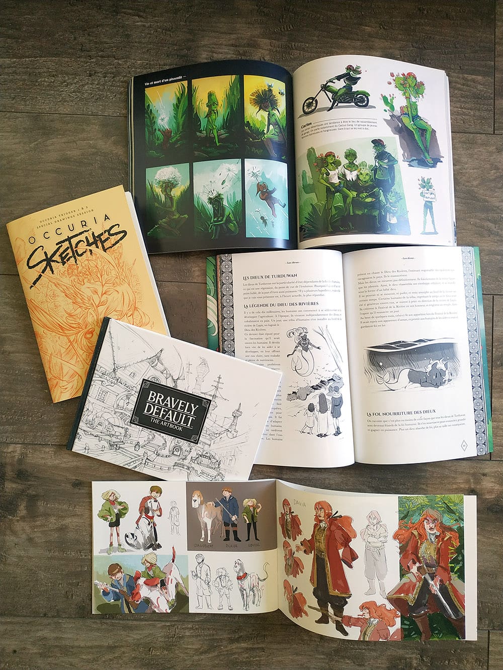 exemples d'artbooks en auto-édition avec des recherches et des informations sur les projets et univers.
