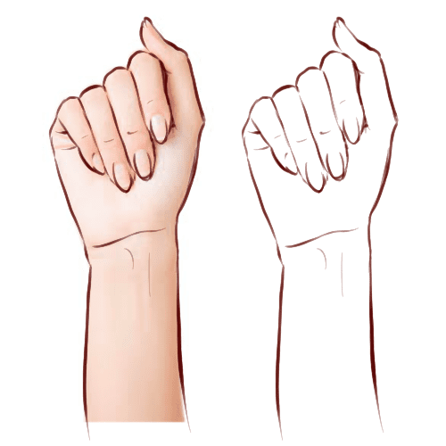 Comment dessiner les mains - Dossier Anatomie #1 244425261 894683217829271 1896651350734137917 n