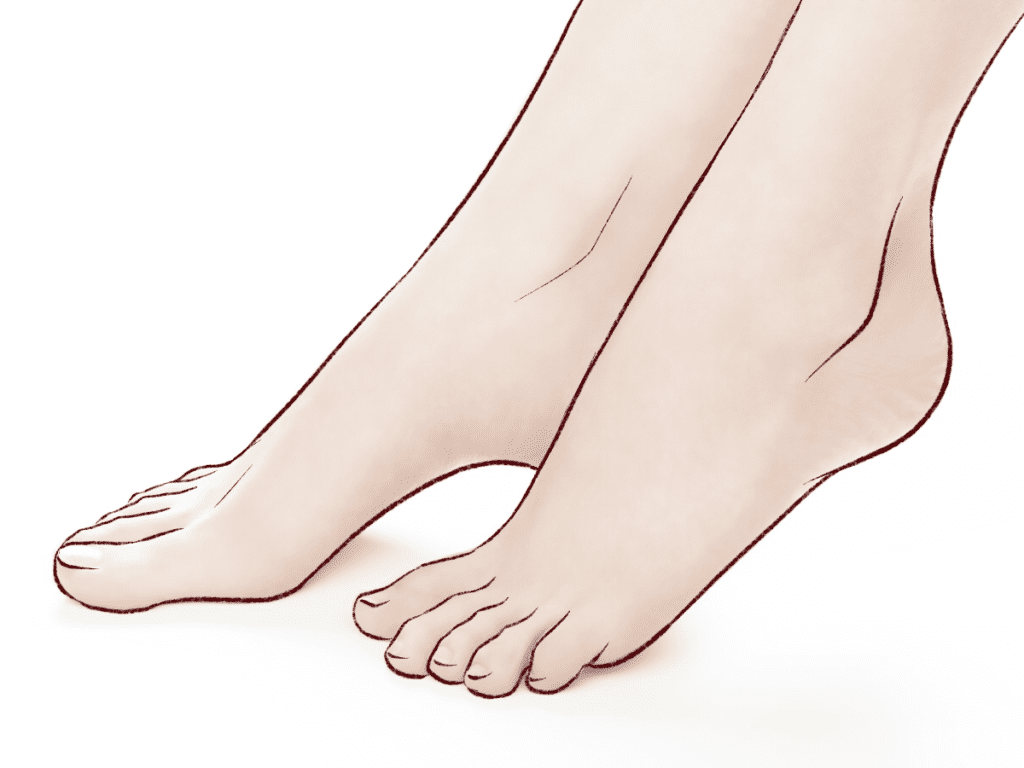 Dessiner les pieds - Dossier Anatomie #4 269774440 1114498525986113 813834654338621296 n