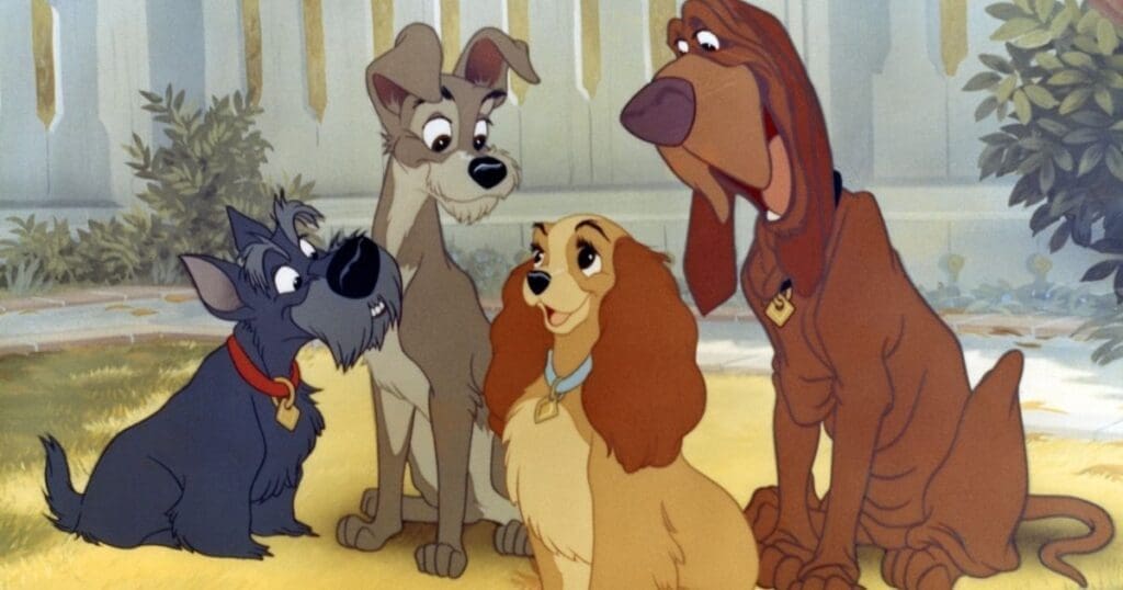 Comprendre les canidés pour mieux les dessiner - Dossier Animaux #1 31440 la belle et le clochard disney