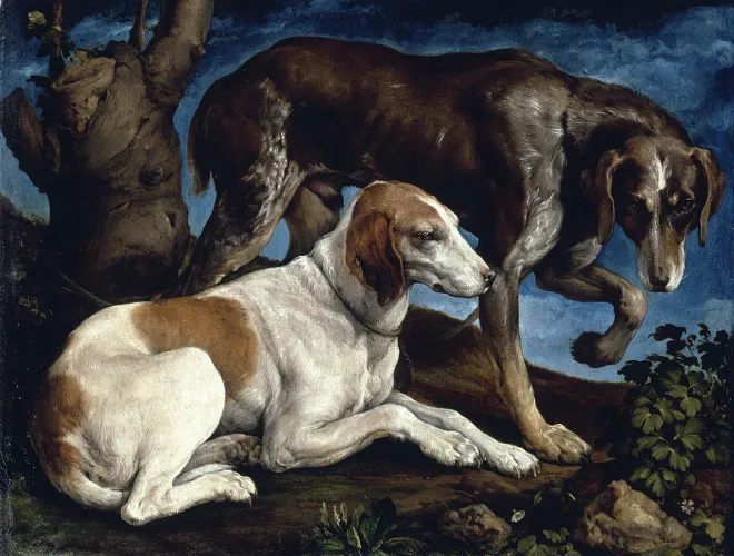 Bassano Chiens Louvre 1