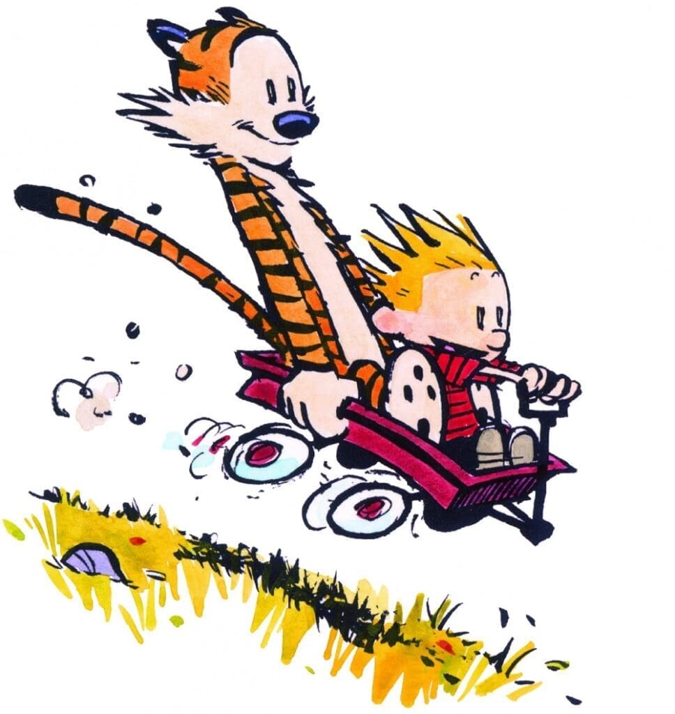 Comprendre les félidés pour mieux les dessiner - Dossier Animaux #2 Calvin 01 c Bill Watterson. Distribue par Universal UClick Integrale Calvin et Hobbes Editions Hors Collection