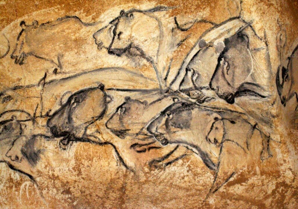 Comprendre les félidés pour mieux les dessiner - Dossier Animaux #2 LE PAN1