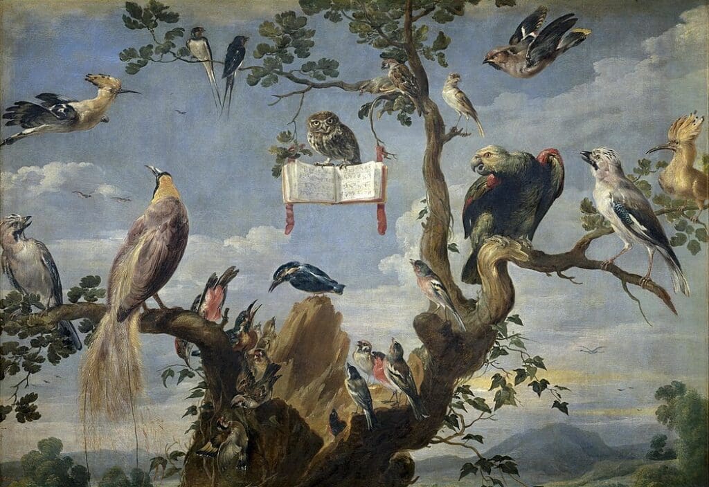 Comprendre les oiseaux pour mieux les dessiner - Dossier Animaux #4 1047px Frans Snyders Concert of Birds WGA21526 1601