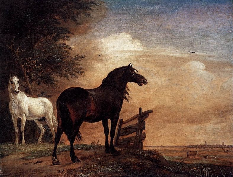 Comment dessiner les équidés - Dossier Animaux #3 787px Paulus Potter Horses in a Field WGA18209