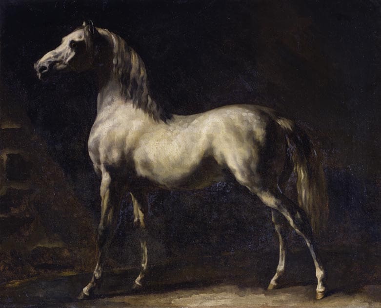 Comment dessiner les équidés - Dossier Animaux #3 Gericault cheval gris MuseeRouen 1