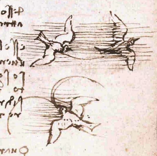 Leonardo da Vinci Codice volo uccelli 6r 1505