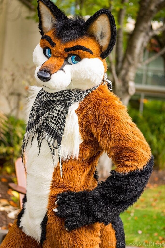 Dessiner des personnages anthropomorphes ChipFox Fox Fursuit 2015