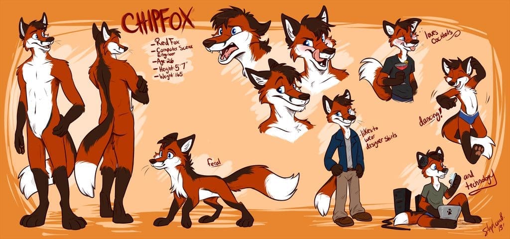 chipfox 46829.cover