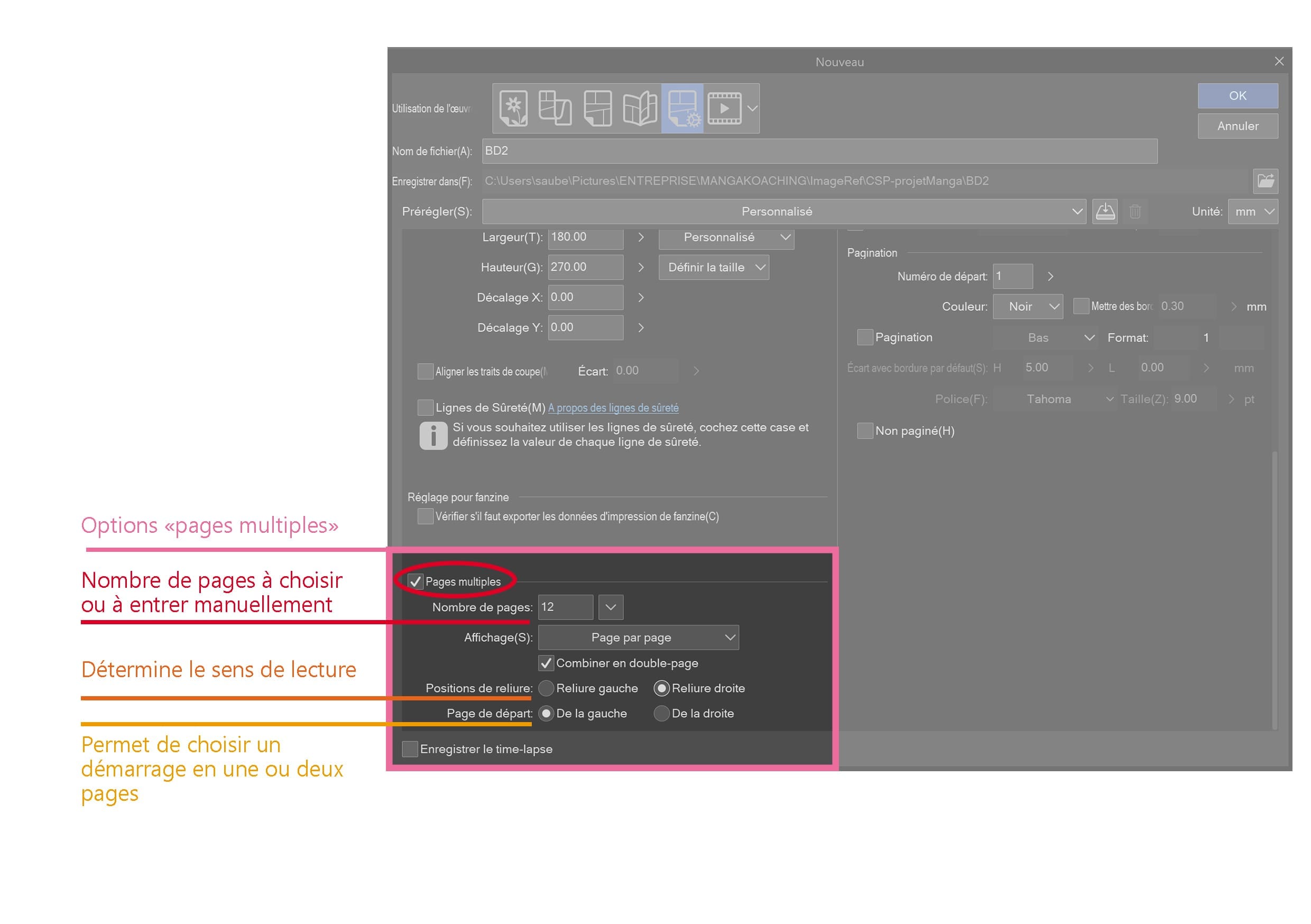 Décryptage de l'option "Pages Multiples"