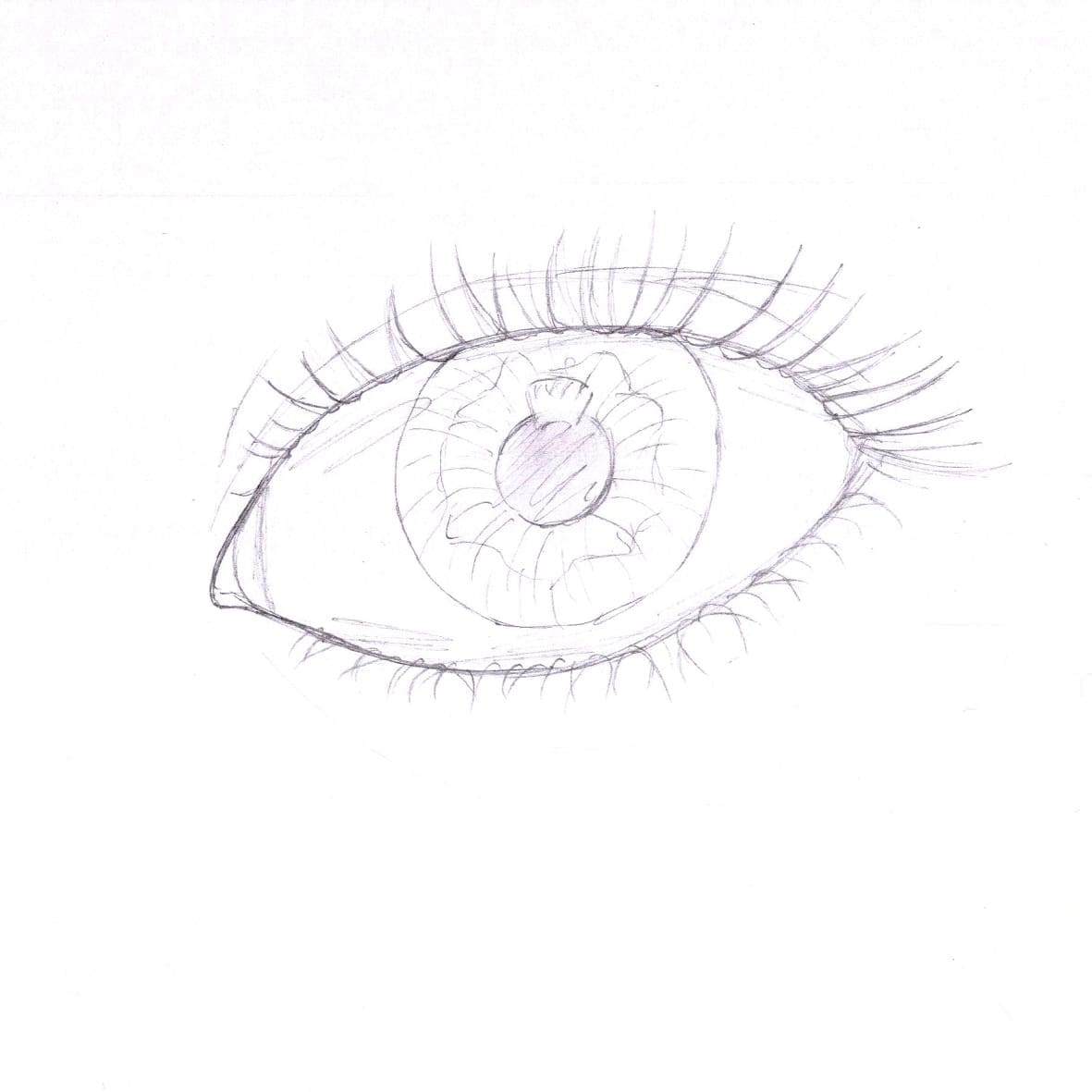 exercice 14 oeil 10 min