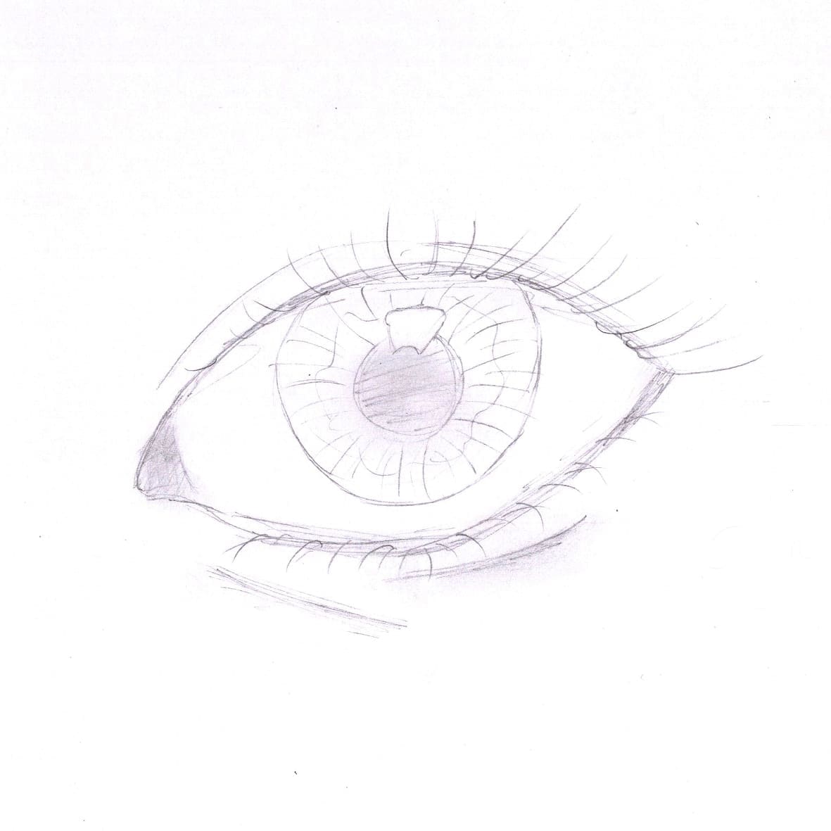 exercice 14 oeil 5 min