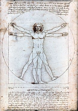 Vitruvian Man by Leonardo da Vinci